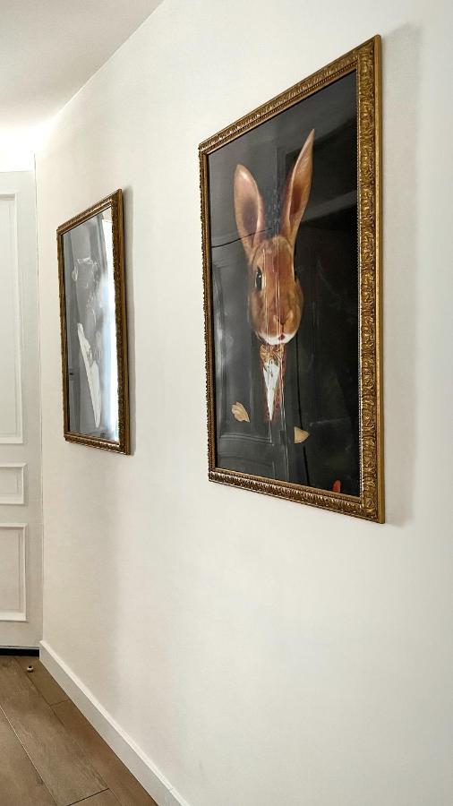Le Cannois كان المظهر الخارجي الصورة